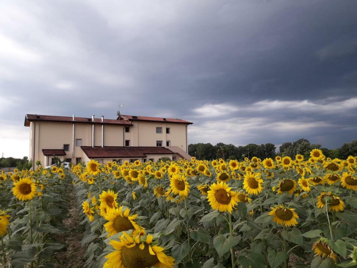 Al Cavaliere Villa Pordenone Szoba fotó