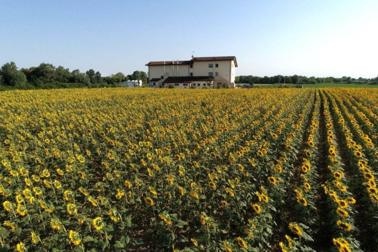 Al Cavaliere Villa Pordenone Kültér fotó